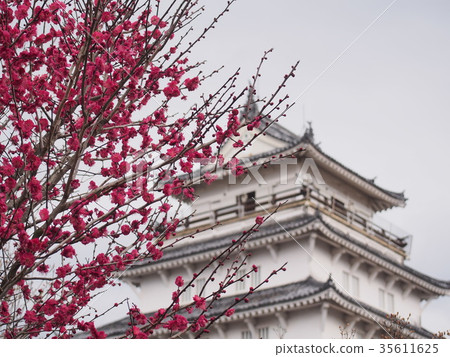 Shimabara Castle Shimabara Castle 35611625