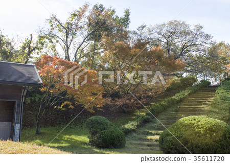 石川森林公園 35611720