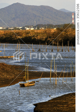 Watarase Reservoir Ramsar Convention Nature Susuki Reeds Environment Oyama City Tochigi Prefecture Morning glow early morning Watarase Reservoir Ramsar Convention Nature Susuki Reeds Environment Oyama City Tochigi Prefecture Morning glow early morning 35612306