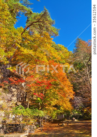 Amida Temple Autumn leaves 35612594