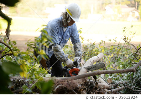 Pruning gardener contractor business work electric saw 35612924
