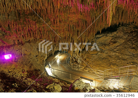 [沖繩世界體育館]沖繩縣南條市玉前前川1336 35612946