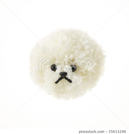 絨球狗（背飛）視覺frise 35613298