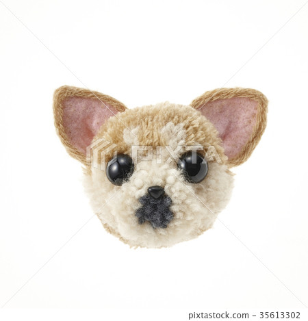 絨球狗（背飛）奇瓦瓦 35613302