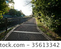 Weasel river promenade 35613342