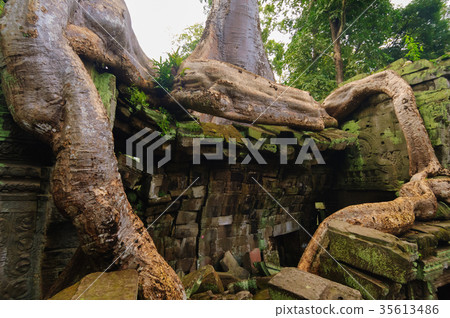 塔普倫廢墟 35613486