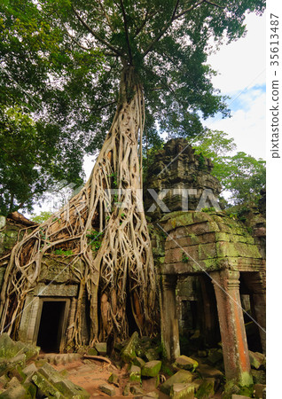 Ta Prohm Ruins 35613487