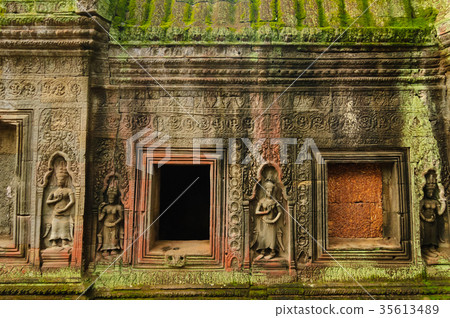 Ta Prohm Ruins 35613489