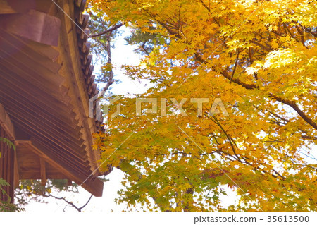 Takato Joshi Park秋葉 Takato Joshi Park秋葉 35613500