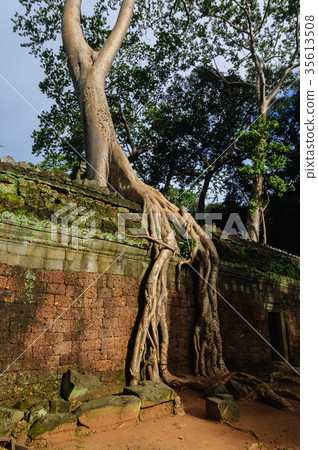 塔普倫廢墟 35613508