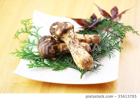 Matsutake Matsutake 35613785