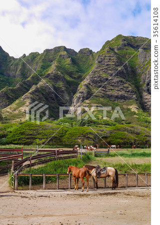 Hawaii Kualoa Lunch 35614108