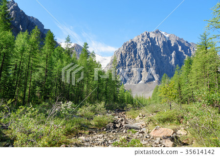 View Karatash peak and Aktru glacier. Altai Russia View Karatash peak and Aktru glacier. Altai Russia 35614142