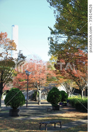 Sagamihara Park 35614626