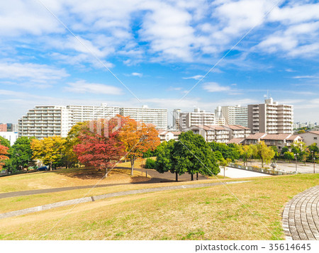 Residential area dyed in autumn color 35614645