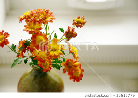 Ikebana Window Side Interior Flower Vase Window Light Daylighting Ikebana Window Side Interior Flower Vase Window Light Daylighting 35615779