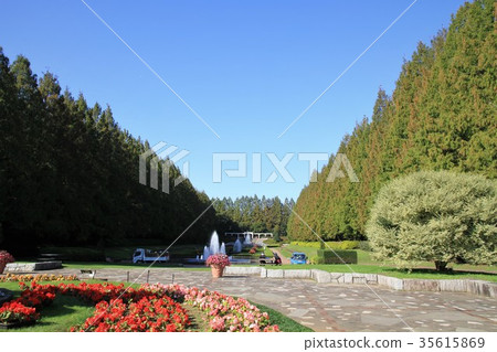 相模原公園 35615869