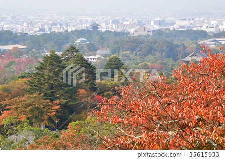Autumn leaves of Nara Wakakusa Autumn leaves of Nara Wakakusa 35615933