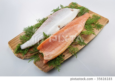 Trout salmon 35616183