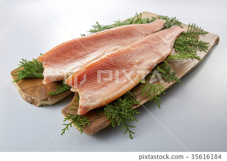 Trout salmon 35616184