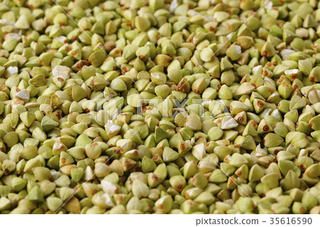 Buckwheat noodles Buckwheat noodles 35616590