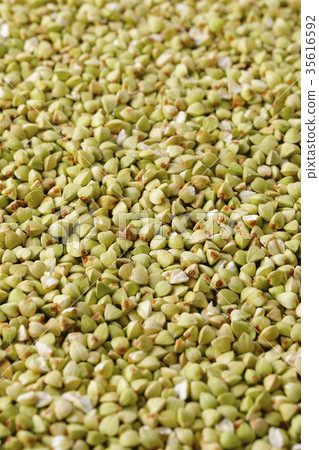 Buckwheat noodles Buckwheat noodles 35616592