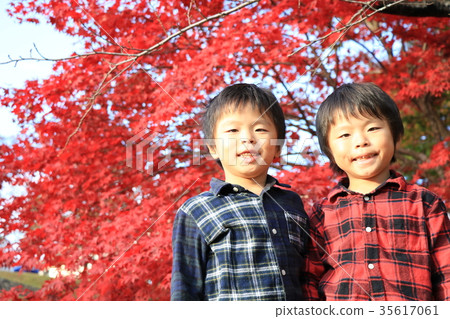 Autumn leaves and boys 35617061