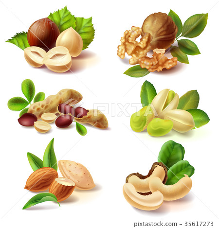 Different nuts realistic vector set Different nuts realistic vector set 35617273