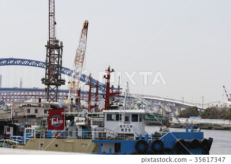 Gulf area 35617347