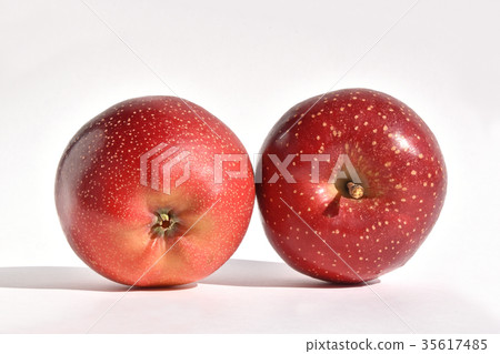 Apple(Tenyuki) Apple(Tenyuki) 35617485