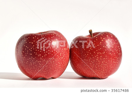 Apple（Tenyuki） 35617486