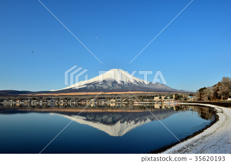 新鮮的雪早晨 35620193
