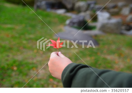 秋葉和孩子的手 35620557