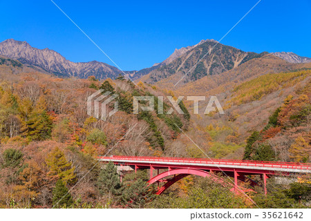 [Yamanashi Prefecture] Kiyosato's Higashizawa Ohashi autumn leaves 35621642