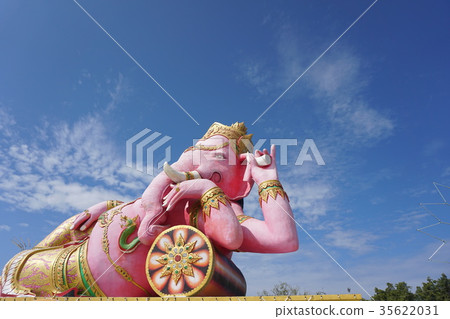 粉紅甘尼薩 35622031