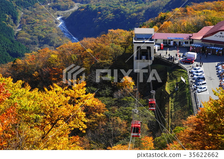 10月Nikko 64 Akechidaira索道秋葉 35622662