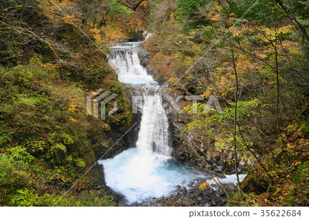 October Nishizawa valley 16 seven pots five steps waterfall and colored leaves, yellow leaves 35622684