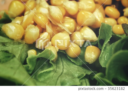 Boiled corn 35623182