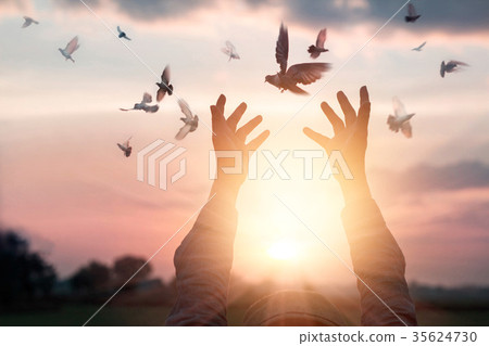 Woman praying and free the birds on sunset nature 35624730