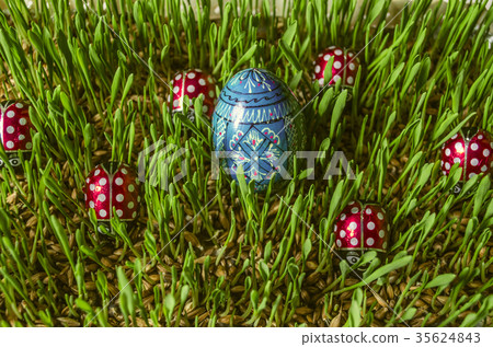 Easter wooden painted blue egg Easter wooden painted blue egg 35624843