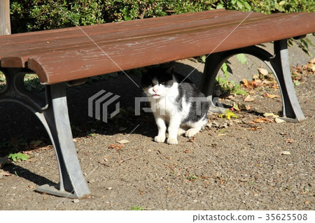 相模原金浦公園 相模原金浦公園 35625508