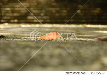 Stair 4 of sunbeams 35625539