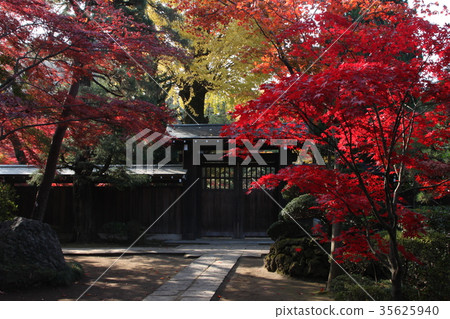 Autumn leaves of Hirin 35625940