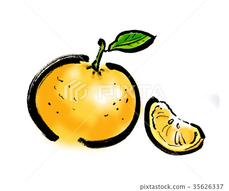 Summertime orange 35626337