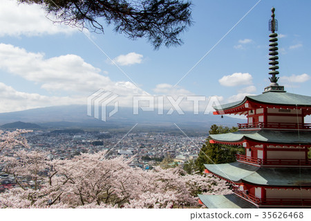 Chureito pagoda and cherry blossom and mount fuji Chureito pagoda and cherry blossom and mount fuji 35626468