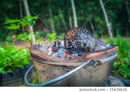 Thai fruits in the garden to bring tourists to eat 35626626