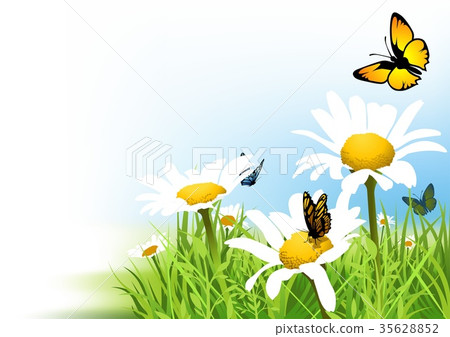 Butterflies and Daisy Background Butterflies and Daisy Background 35628852