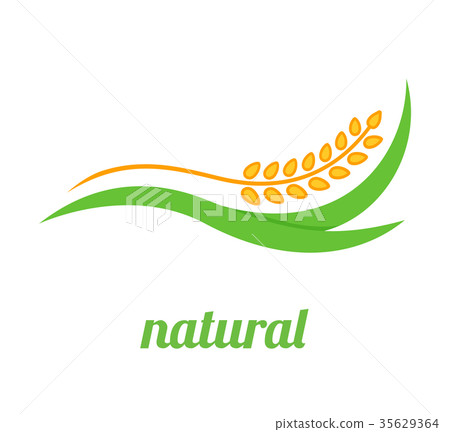 Wheat Logo Template vector icon design 35629364