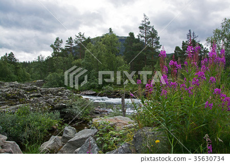 River Rauma, Oppland, Norway River Rauma, Oppland, Norway 35630734