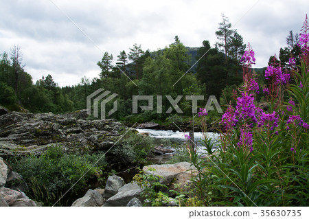 River Rauma, Oppland, Norway 35630735